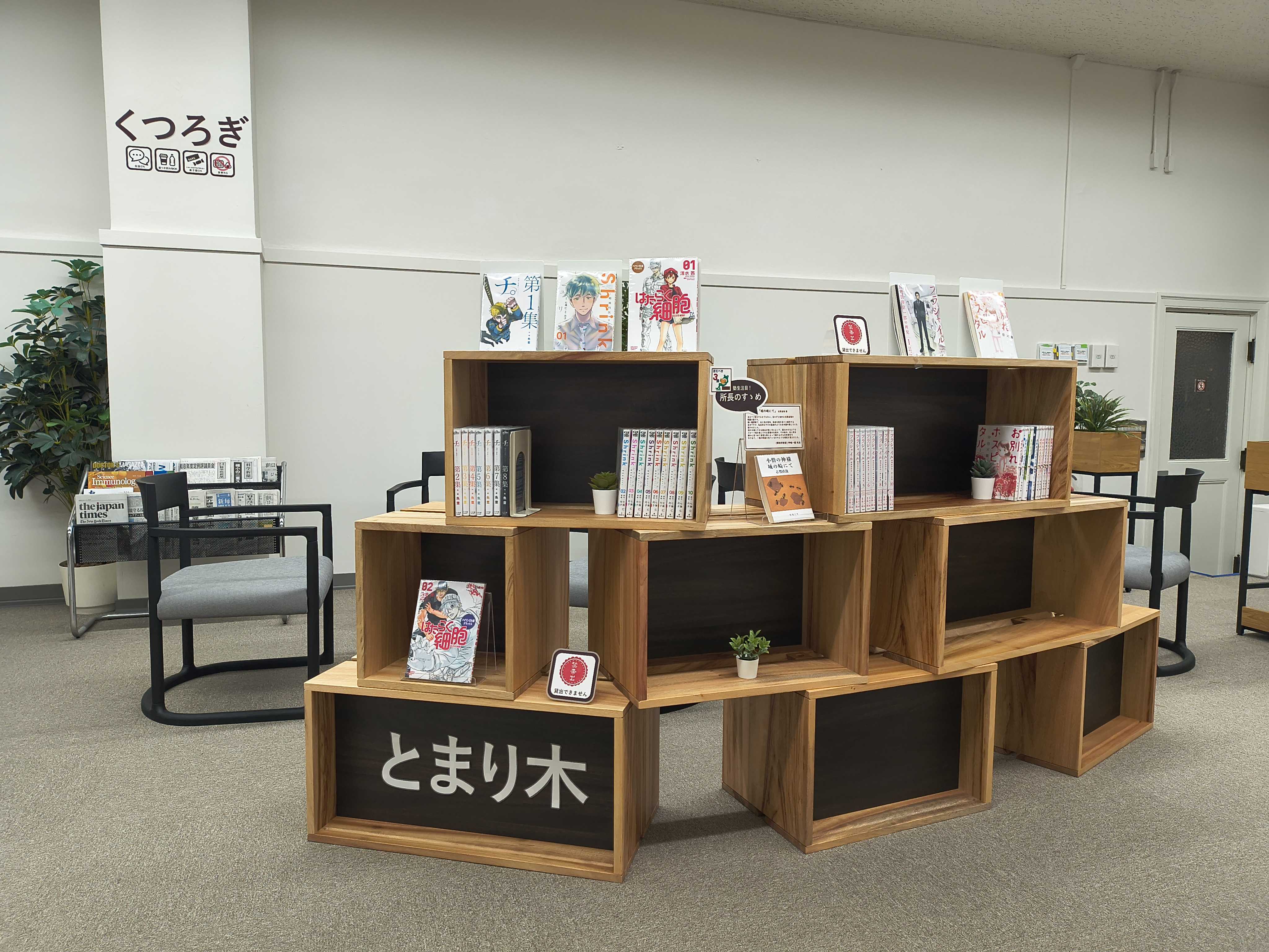 とまり木