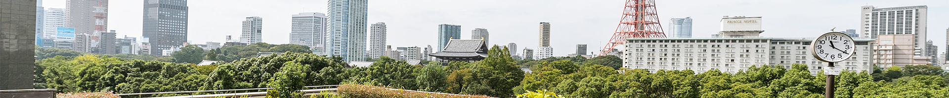薬学メディアセンター(芝共立薬学図書館)